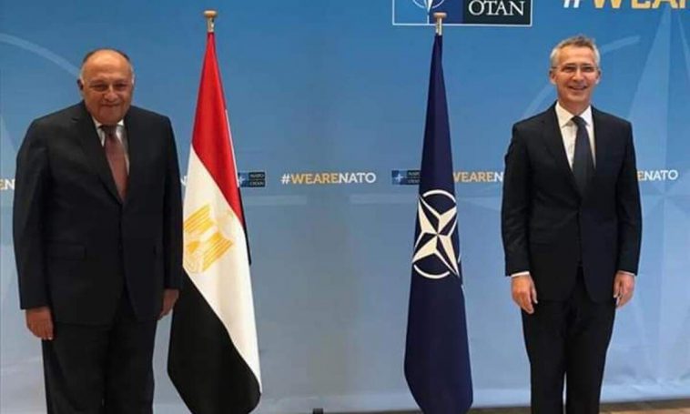 وزير الخارجية المصري يناقش ملف سد النهضة مع حلف الناتو