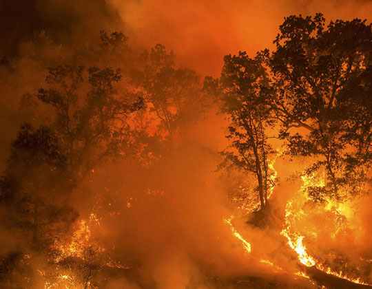 الرئيس الجزائري يتهم المغرب بالتسبب في حرائق الغابات في الجزائر