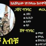 الجيش الإثيوبي بقيادة آبي أحمد يُعلن استعادة السيطرة على مناطق مختلفة في كل جبهات القتال